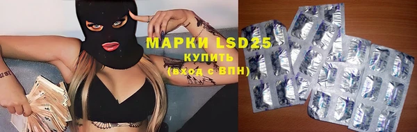 дмт Алзамай