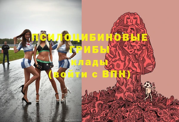 дмт Алзамай