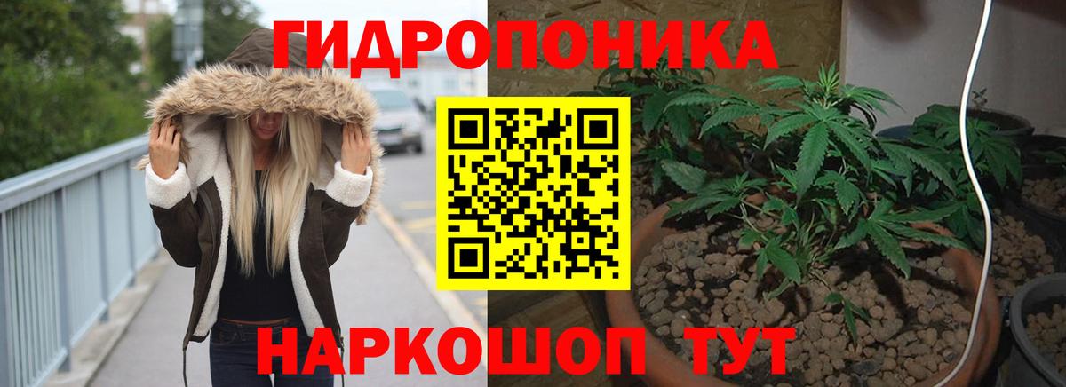 Бошки Шишки семена  Каннабис планчик  Бошки Шишки VHQ  Вход с VPN  Саянск 